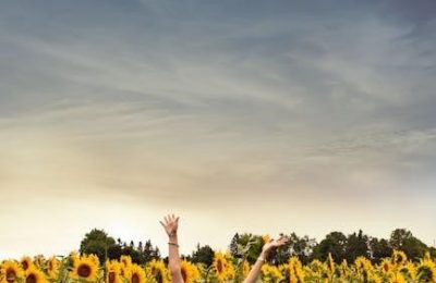 the sunflower by simon wiesenthal pdf