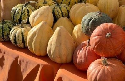 thanksgiving shopping list pdf