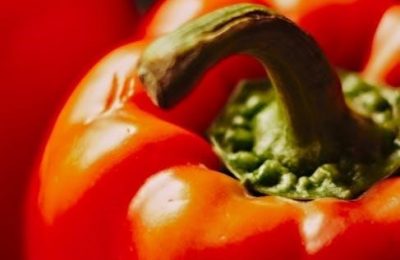 plant based diet food list pdf