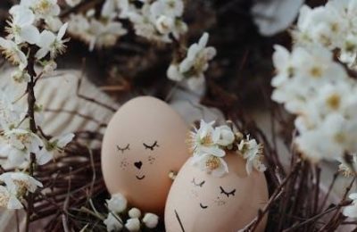it starts with the egg pdf
